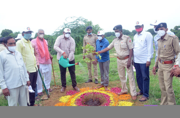 હળવદ તાલુકાના વેગડવાવ ગામે ૭૧ મા વન મહોત્સવ નિમિત્તે વૃક્ષો રોપણ નુ આયોજન કરાયુ.