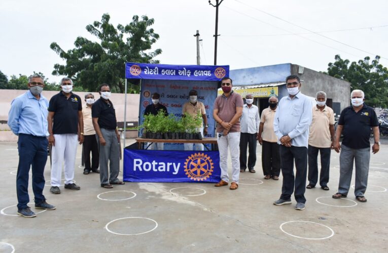 આર.સી.સી. સિનિયર સીટીઝન ક્લબ ઓફ હળવદના દ્વારા તુલસીના ૨૦૧ રોપ વિતરણ કરવામાં આવ્યા હતાં.