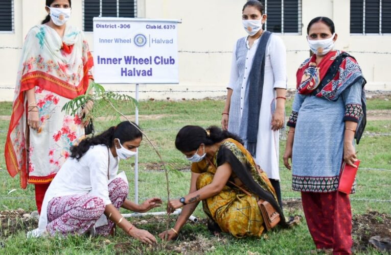 હાલો હળવદને હરિયાળું બનાવીએ સંકલ્પ સાથે:    ઇનરવિલ ક્લબ ઓફ હળવદના બહેનો દ્વારા સાંદિપની સ્કૂલની પાછળના ભાગમાં વિવિધ ૬૦ રોપા નું રોપણ કરવામાં આવ્યું.