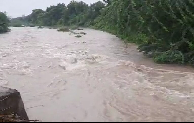 હળવદ પંથકમાં ભારે વરસાદના પગલે નદી નાળા છલકાયા મકાનો વૃક્ષો ધરાશય થયા વરસાદી પાણી ઘરમા ભરાયા.