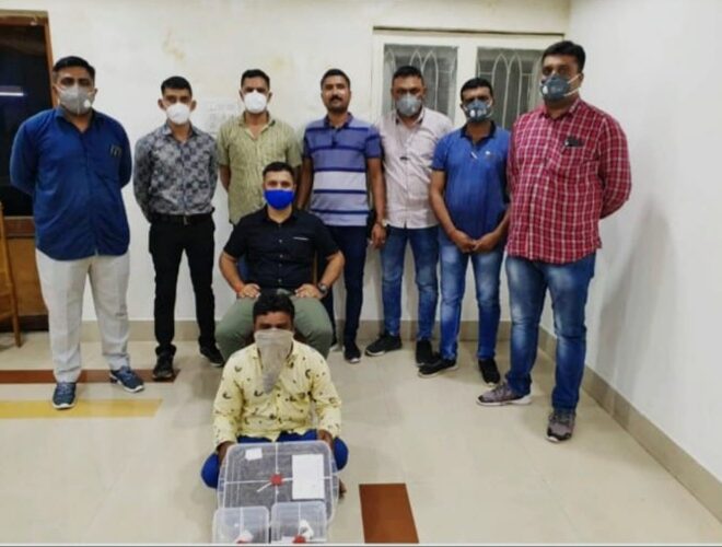 ગોંડલમાં ચાર કિલો ગાંજા સાથે ફકીર શખ્સ ઝડપાયો. આરોપી પોસ્ટ ઓફિસ પાસે ગાંજો વેચવા આવતા જ રૂરલ એસ.ઓ.જી.એ ઝડપી લીધો : ગાંજો કયાંથી લાવ્યો હતો કોને સપ્લાય કરવાનો હતો ? તપાસ જરૂરી બની.