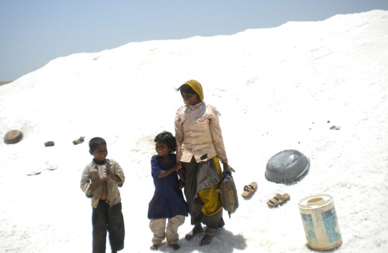 Halvad-Morbi હળવદ તાલુકાના રણકાંઠા વિસ્તારમાં સારા વરસાદથી મીઠુ પકવતા અગરીયાઓ ખુશ.