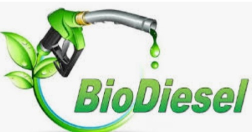 Gadhinagar       બાયો ડીઝલના વેચાણ સામે કાર્યવાહી કરવા ગાંધીનગરમાં હાઇ-લેવલ બેઠક.