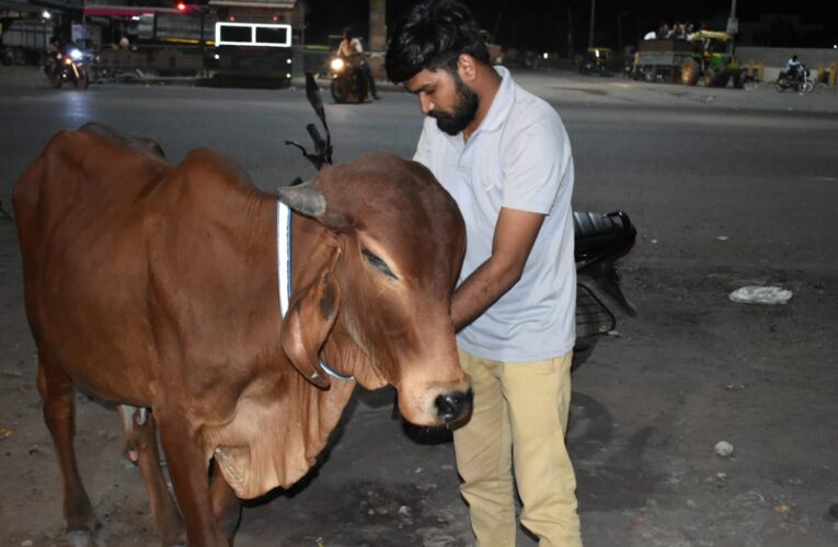 Halvad-Morbi રોટરી અને રોટરેક્ટ ક્લબ ઓફ હળવદ દ્વારા નેશનલ ફોરટ્રેક હાઈવે ઉપર રાતના સમયે ઉભા રહેતા કે બેસતા ગાયુ અને ગૌવંશ ના ગળામાં રેડિયમ બેલ્ટ પહેરાવવામાં આવ્યા હતાં.