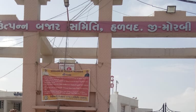 Halvad-Morbi હળવદ યાડે‌માં મગફળીના ભાવ નીચા જતા ખેડૂતોઓ રોષ હરાજી બંધ કરાઈ.