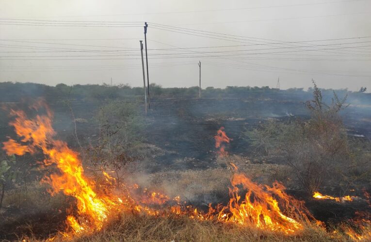 Jasdal-Rajkot જસદણ નજીક ડુંગરપુર વીડીમાં ભીષણ આગ લાગી, 500 વીઘામાં ઉભેલું ઘાસ બળીને ખાક થઈ ગયું.