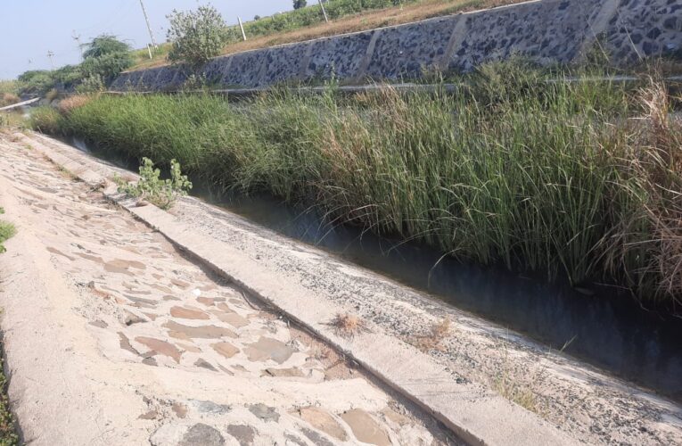 Halvad-Morbi હળવદ ધાંગધ્રા નમૅદા કેનાલમાં સફાઈ કરવા મામલે આવેદનપત્ર આપ્યું.