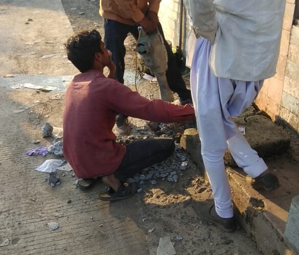 Jasdan-Rajkot જસદણમાં શરમાળીયા મંદિર પાસે રોડ પર ભરાતા ગંદા પાણીનો વર્ષો જૂનો પ્રશ્ન ઉકેલાયો.