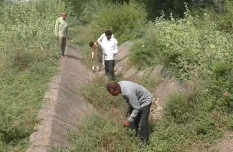 Upleta-Rajkot ઉપલેટાના ખેડૂતોએ જાતે કેનાલ સફાઈ હાથ ધરી નિદ્રાધીન તંત્રને જગાડવા નો પ્રયાસ કર્યો.