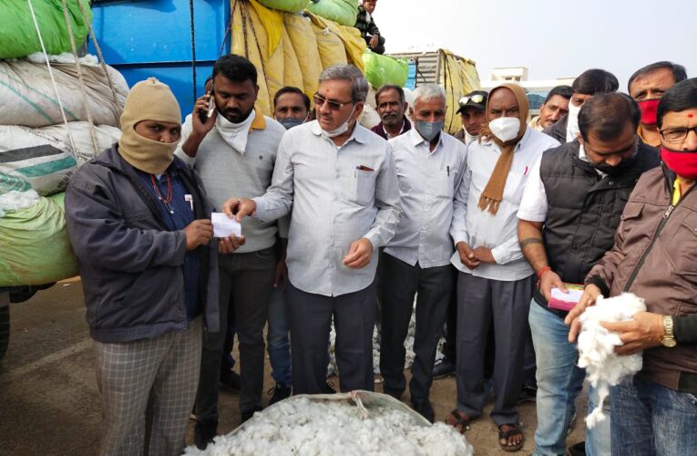 Halvad-Morbi હળવદ માર્કેટ યાર્ડ ખાતે આજથી સી.સી.આઈ દ્વારા કપાસ ખરીદીનો પ્રારંભ કરાયો.