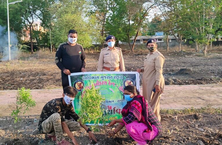 Dhoraji-Rajkot “વિશ્વ પર્યાવરણ દિવસ” નિમિત્તે આજે ગુજરાત સરકાર અને ગુજરાત વનવિભાગ દ્વારા વૃક્ષારોપણ નાં કાર્યક્રમ સમગ્ર ગુજરાતમાં યોજવામાં આવ્યા.