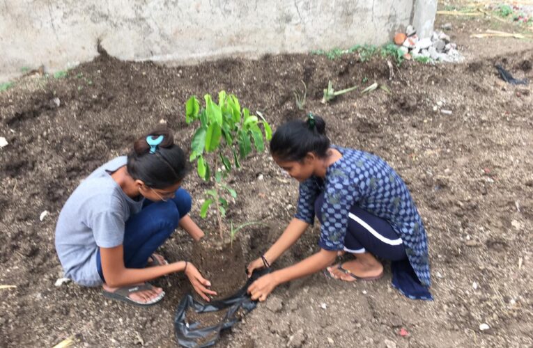 Gondal-Rajkot ગોંડલ માં સોસાયટી ના સાર્વજનિક પ્લોટમાં નાના મોટા સૌએ સાથે મળી વૃક્ષો નું કર્યું વાવેતર.ઉછેર ની જવાબદારી મહીલા ઓએ સ્વીકારી…