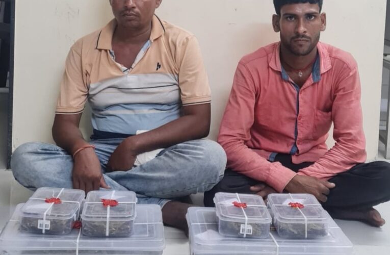 ગોંડલ તાલુકા પોલીસ સ્ટેશન વિસ્તારમાંથી માદક-પદાર્થ વનસ્પતિજન્ય(ગાંજા)નો જથ્થો પકડી પાડતી રાજકોટ ગ્રામ્ય એસ.ઓ.જી.બ્રાંચ.