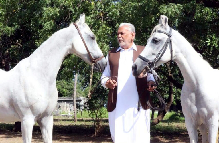 ગોંડલ ખાતે ભુવનેશ્વરી ગીર બ્રિડિંગ ફાર્મની મુલાકાત લેતા કેન્દ્રિય મંત્રીશ્રી રૂપાલા: કાઠિયાવાડી અશ્વોનુ લુપ્ત થતી પ્રજાતિ ઉપરાંત પરંપરાગત સંસ્કૃતિની વિરાસતનુ સંવર્ધન કરવું અતિ આવશ્યક  – મંત્રીશ્રી પુરૂષોત્તમ રૂપાલા.