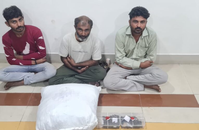 ગોંડલ સીટી પો.સ્ટે. વિસ્તારમાંથી માદક-પદાર્થ ગાંજાનો મોટો જથ્થો પકડી પાડતી રાજકોટ ગ્રામ્ય એસ.ઓ.જી.બ્રાંચ.