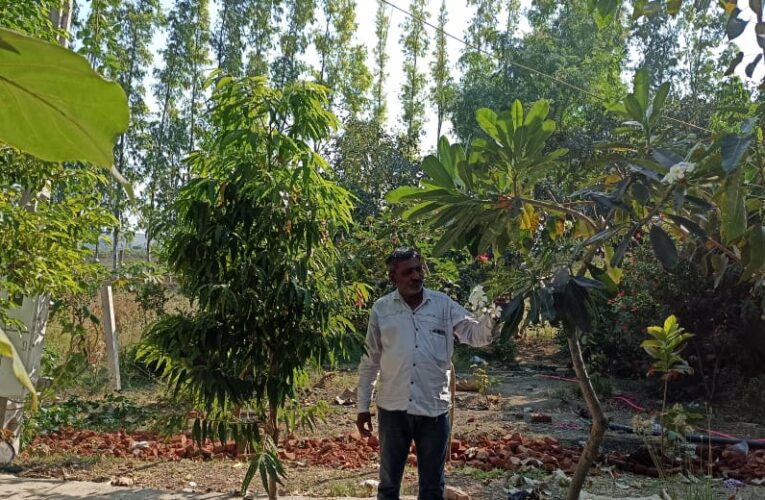 જસદણના પ્રકૃતિ પ્રેમી ખેડૂતે અઢી વિધા જમીનમાં અઢીસો વૃક્ષો વાવી હરિયાળી ક્રાંતિ સર્જી – વિવિધ પ્રકારના પક્ષીઓના કલરવથી વાતાવરણ ગુંજી ઉઠે છે.