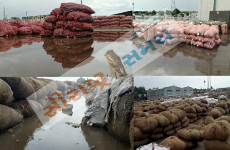 ગોંડલ કોંગ્રેસે માવઠા નાં કારણે ખેડૂતોની જણસી પલળી જતા આવેદનપત્ર આપવામાં આવ્યું.