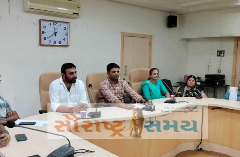 ગોંડલ શહેરમાં બે નવા પુલ મંજુર કરાયા: નવનિર્મિત નવા પુલ નું હેરિટેઝ જાળવવા હાઇકોર્ટ નું સુચન.