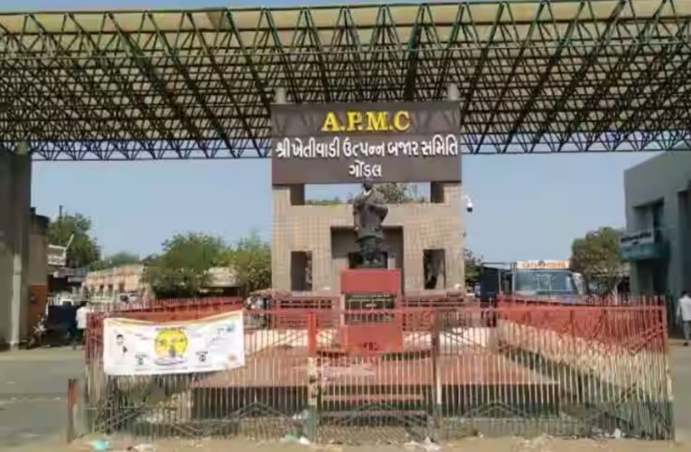 ગોંડલ યાર્ડ માં ચાઇના નુ લસણ ઘુસાડ્યા ની ચર્ચિત ઘટના માં કંડલા કોરેન્સટાઇન રીસર્ચ નો રીપોર્ટ:લસણ ચાઇનાનું હોવાની શક્યતા નથી:રિસર્ચ માટે પુના મોકલાયુ.