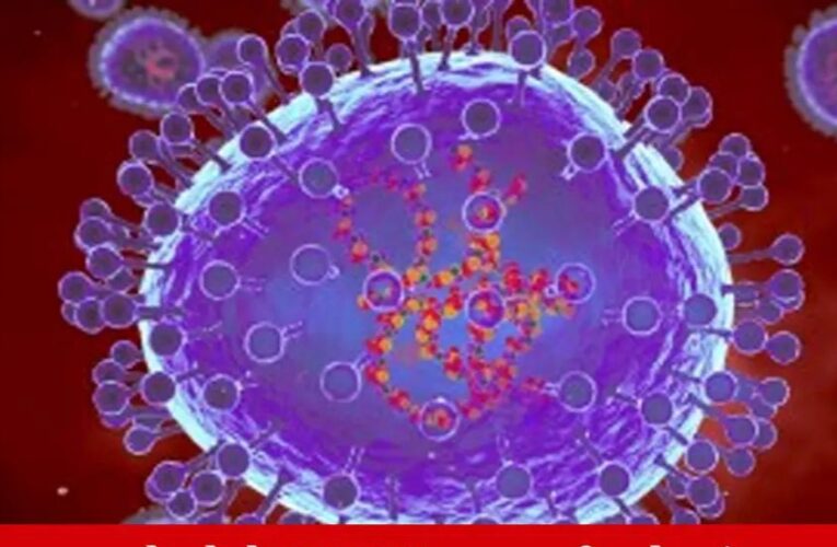 ચીનમાં ફેલાઇ રહેલા HMPV વાયરસનો ભારતમાં મળ્યો પ્રથમ કેસ, 8 મહિનાની બાળકી સંક્રમિત.